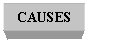 Text Box: CAUSES
