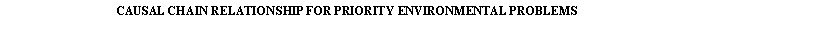 Text Box: CAUSAL CHAIN RELATIONSHIP FOR PRIORITY ENVIRONMENTAL PROBLEMS