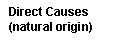 Text Box: Direct Causes
(natural origin)
