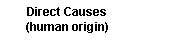 Text Box: Direct Causes
(human origin)
