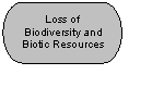 Flowchart: Terminator: Loss of Biodiver-sity and Biotic Re-sources