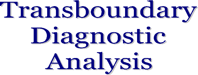 Transboundary
Diagnostic
Analysis