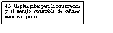 Text Box: 4.3. Un plan piloto para la conservación y el manejo sustentable de cañones marinos disponible