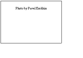 Text Box: Photo by Pavel Erokhin
