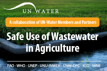 Safe Use of Wastewater in Agriculture